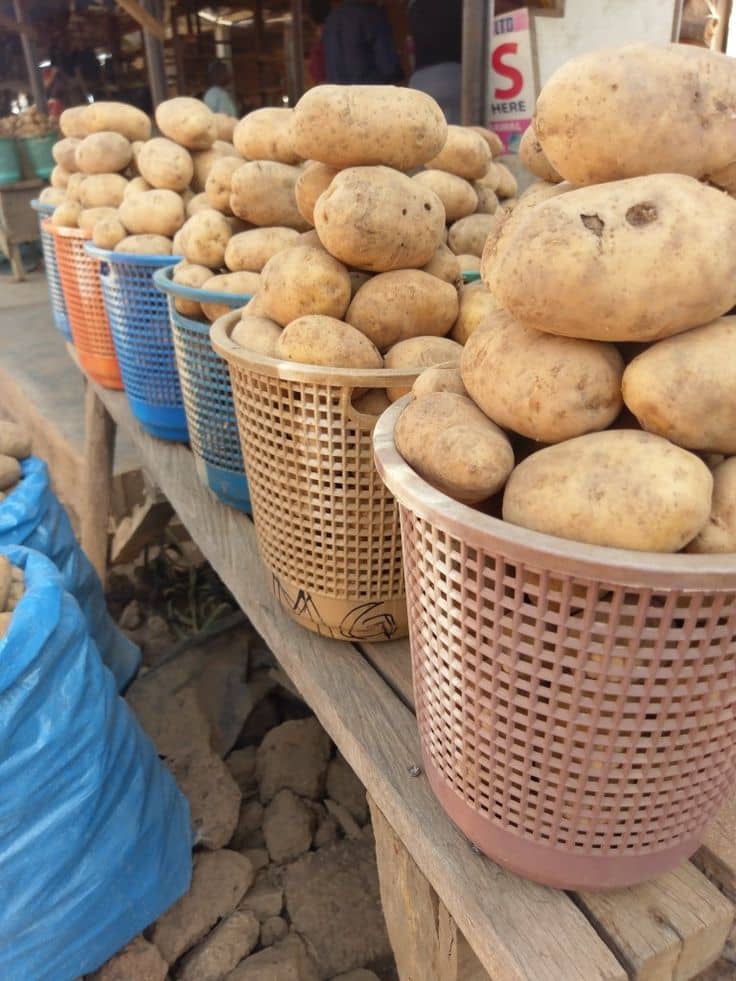 Irish potato